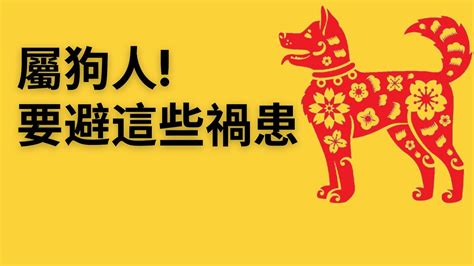 1958屬狗2023運勢|大师详解：属狗2023年全年运势运程及每月运程